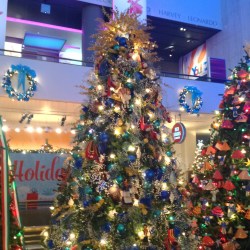 Greece Tree